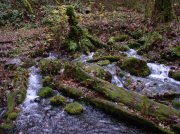 Waukeena Mult Falls 11.26.05 041